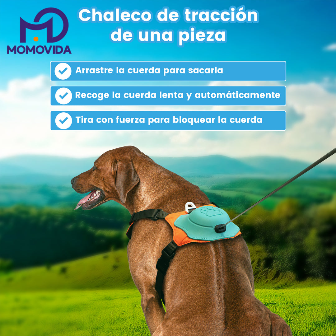 MOMOVIDA Arnés Para Perro Con Ajustable Correa