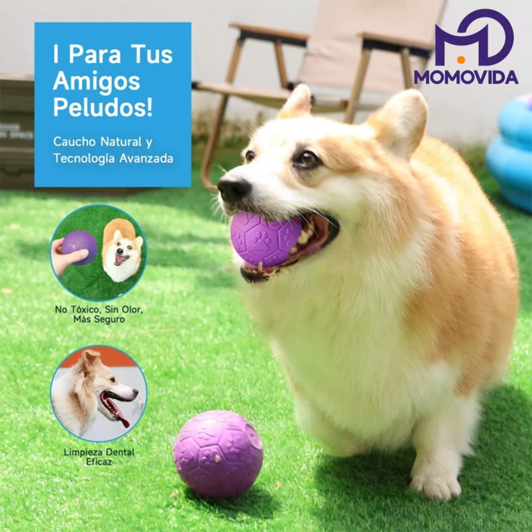 MOMOVIDA Juguetes interactivos para perros