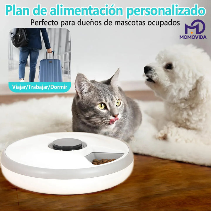 MOMOVIDA Alimentador con temporizador automático