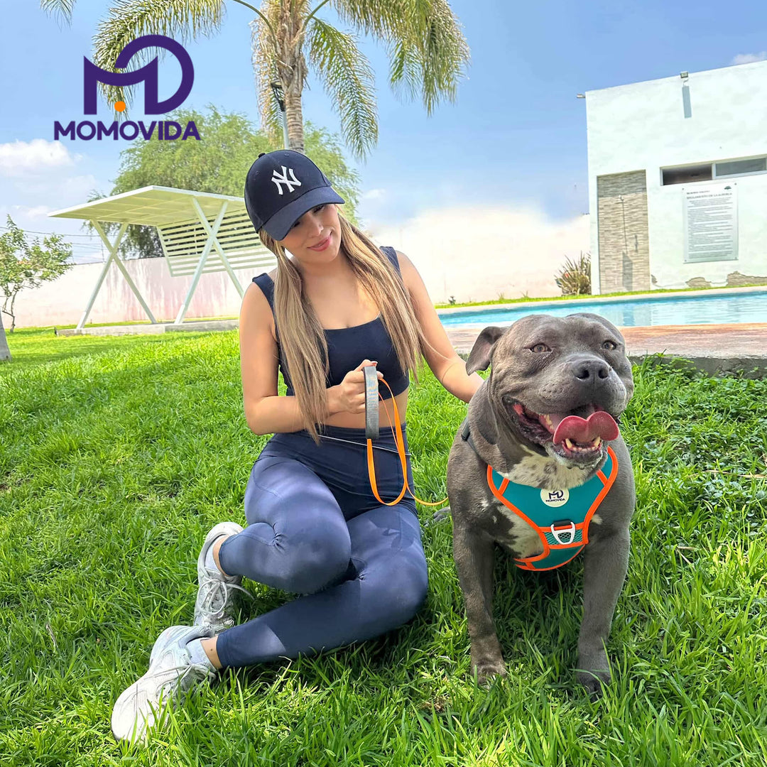 MOMOVIDA Arnés Para Perro Con Ajustable Correa