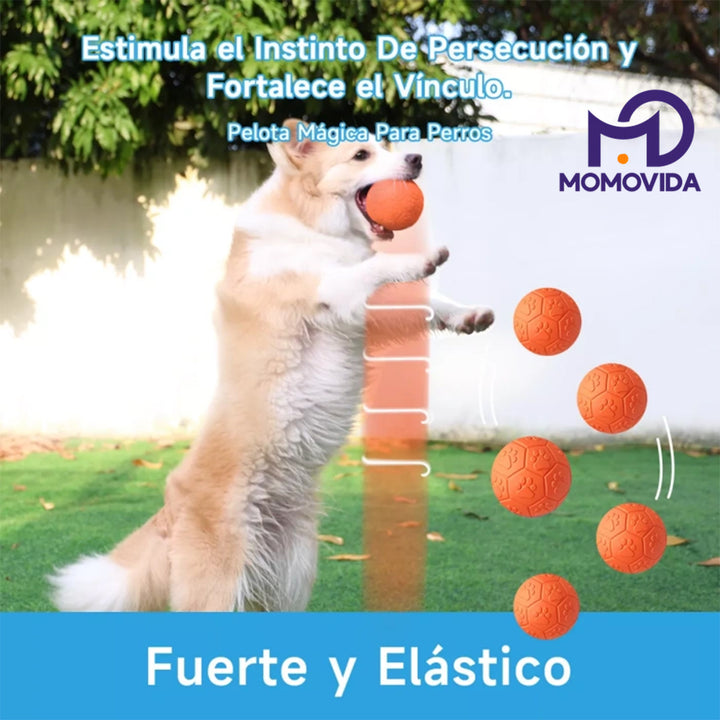 MOMOVIDA Juguetes interactivos para perros