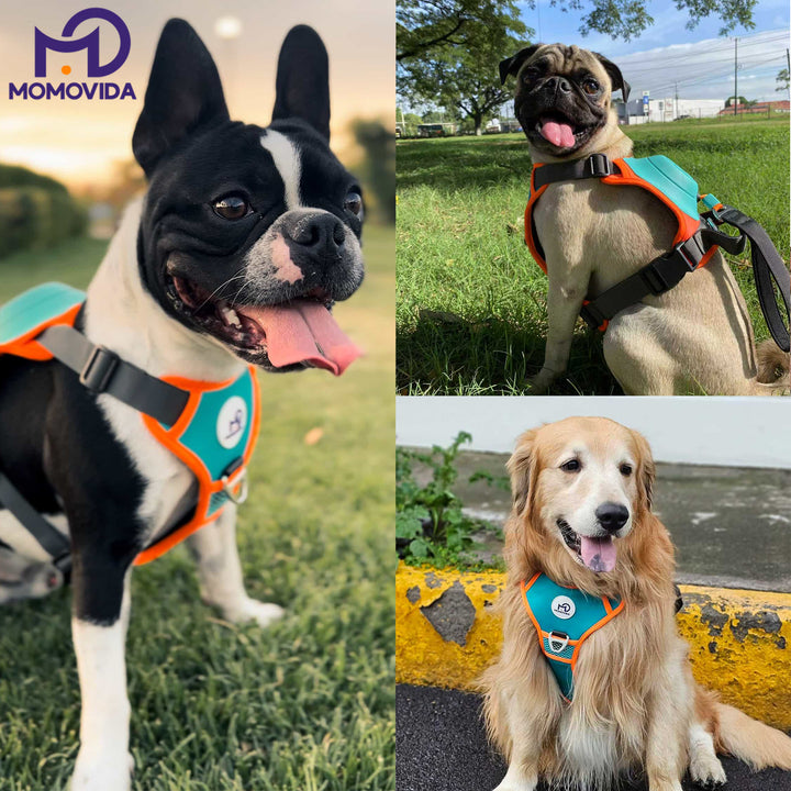 MOMOVIDA Arnés Para Perro Con Ajustable Correa
