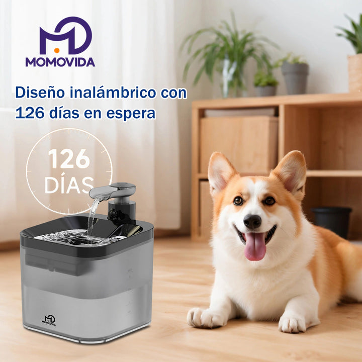 MOMOVIDA Dispensador inteligente de agua potable