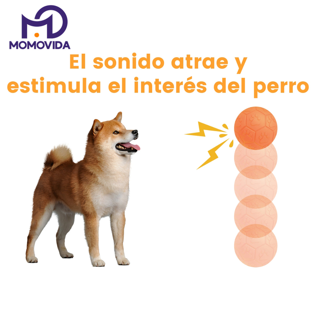 MOMOVIDA Juguetes interactivos para perros