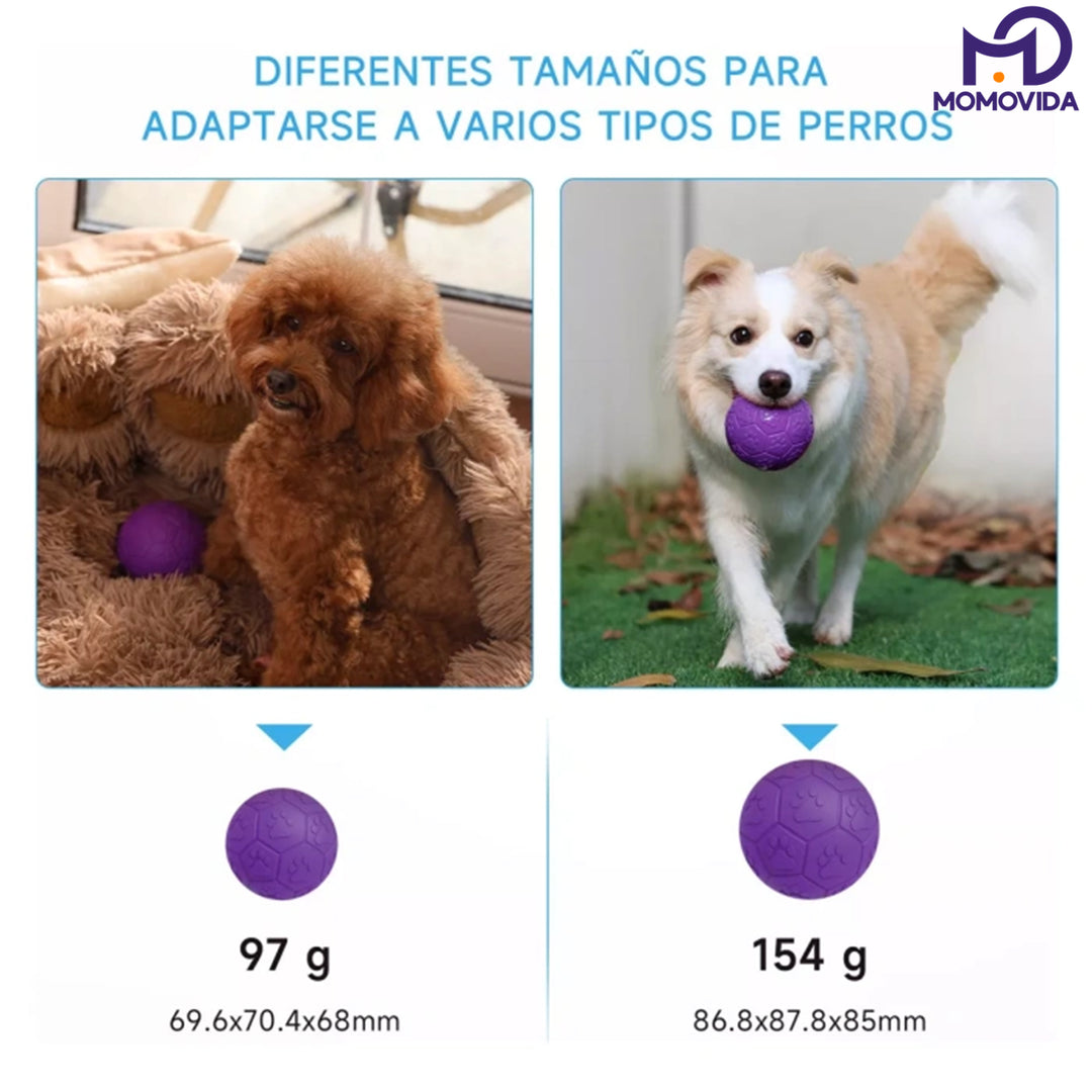 MOMOVIDA Juguetes interactivos para perros