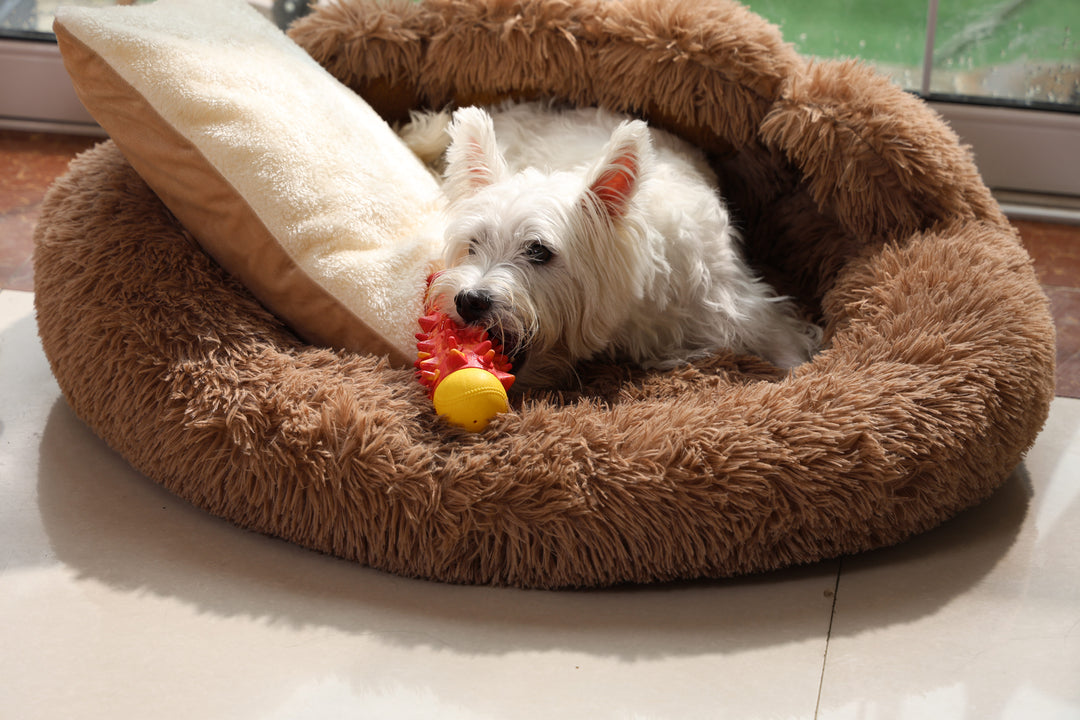 MOMOVIDA Pelota interactiva para perros