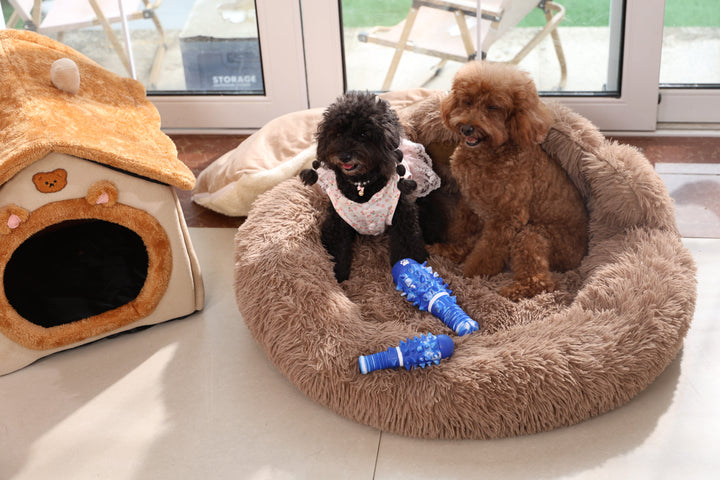 MOMOVIDA Pelota interactiva para perros