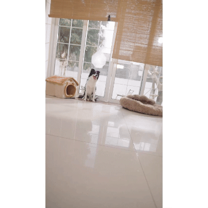 MOMOVIDA Juguetes interactivos para perros