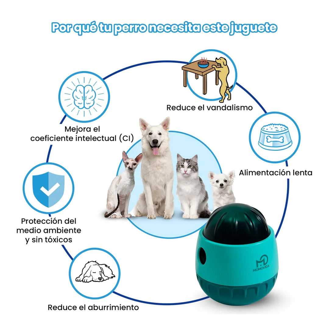 Comedero de juguete para perros: la mejor forma de alimentar y entretener a tu mascota