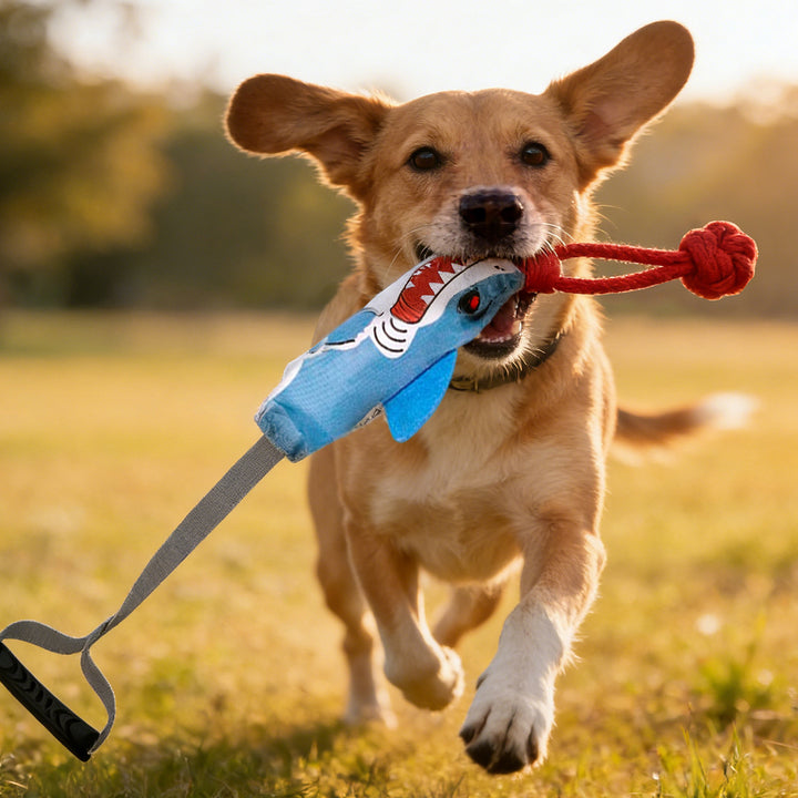 Momovida Juguetes Para Perro Masticar Limpia Dientes 5piezas