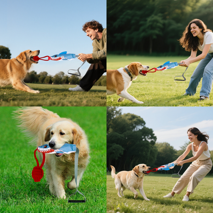 Juguete Interactivo De Cuerda ParaPerros Momovida