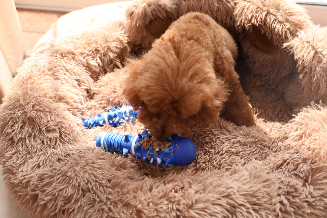 Momovida Juguetes Para Perro Masticar Limpia Dientes 5piezas