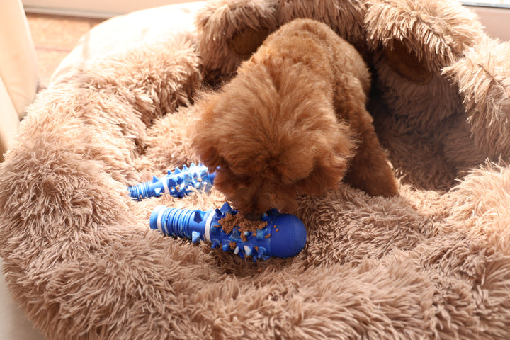 Momovida Juguetes Para Perro Masticar Limpia Dientes 5piezas