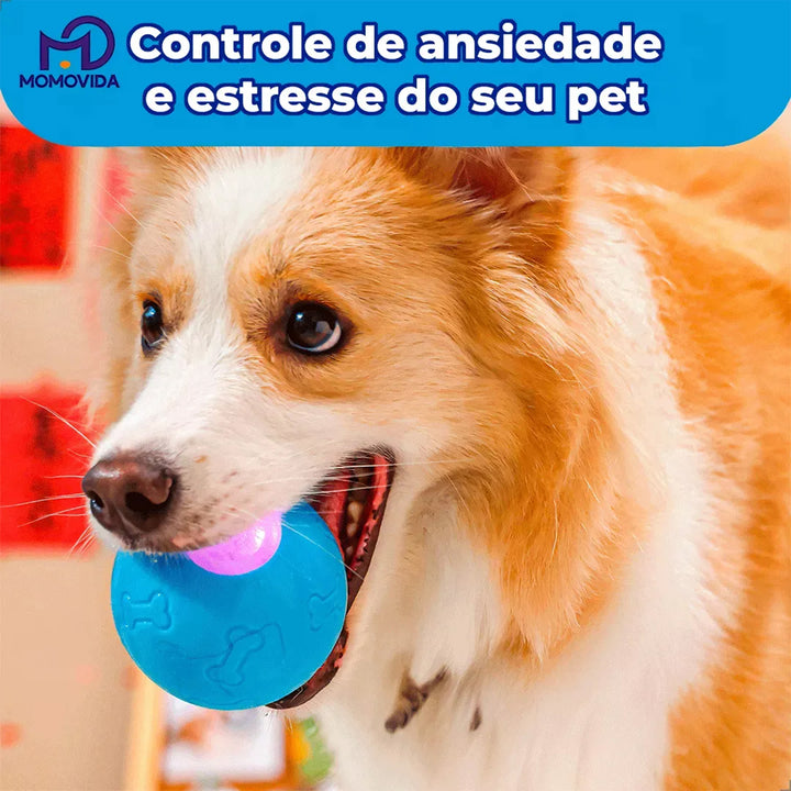 MOMOVIDA Pelota interactiva para perros