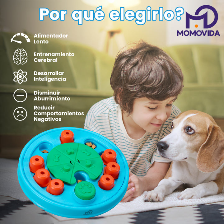 MOMOVIDA Puzzle interactivo Dispensador de comida