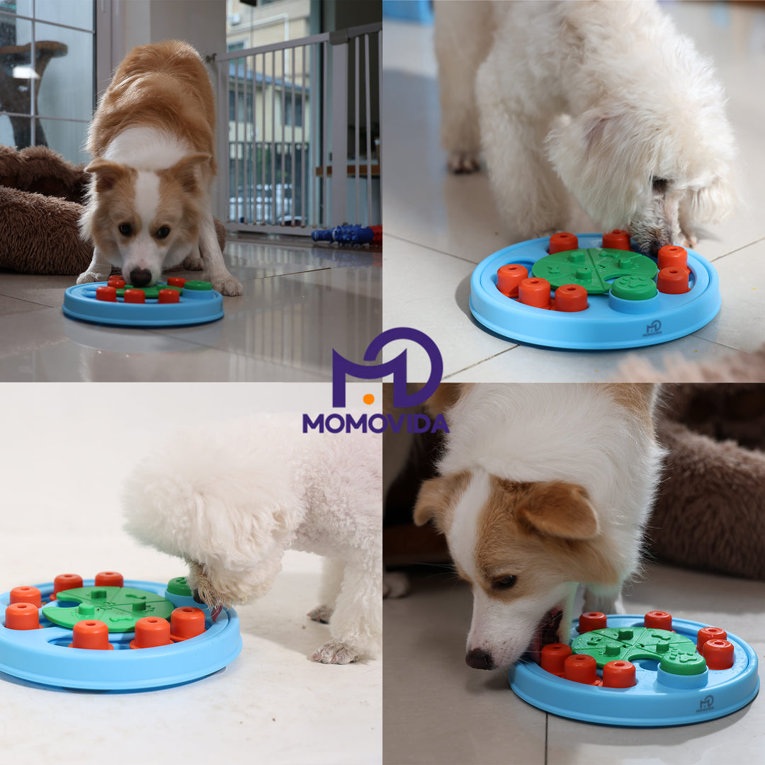 MOMOVIDA Puzzle interactivo Dispensador de comida