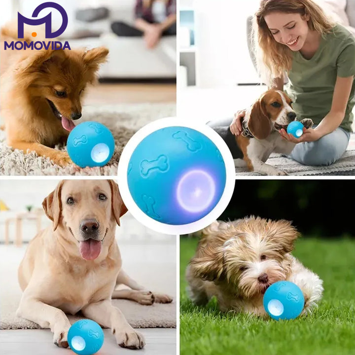 MOMOVIDA Pelota interactiva para perros
