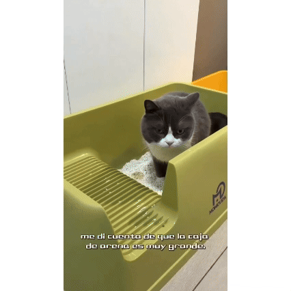 MOMOVIDA arenero para gatos