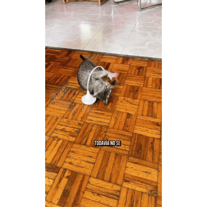 MOMOVIDA Juguetes de plumas para gatos 2 pz