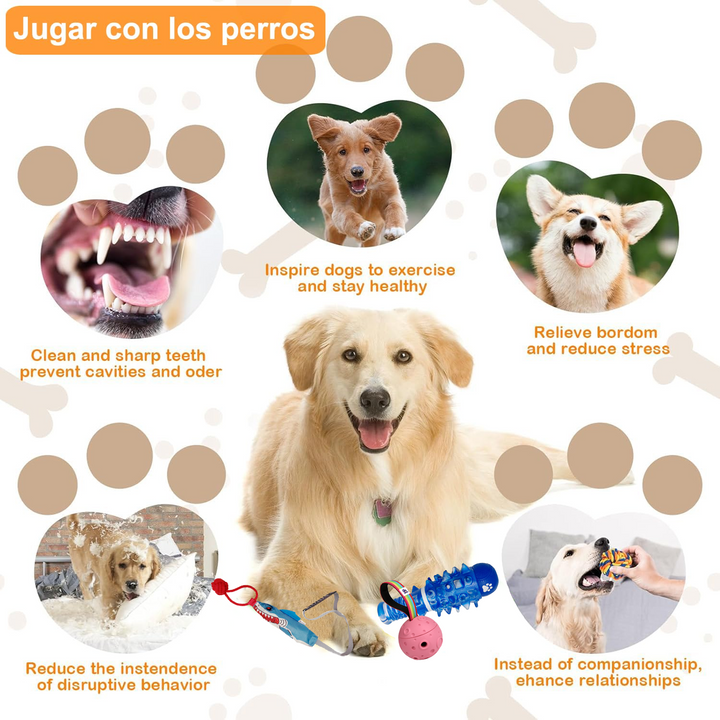 Momovida Juguetes Para Perro Masticar Limpia Dientes 5piezas