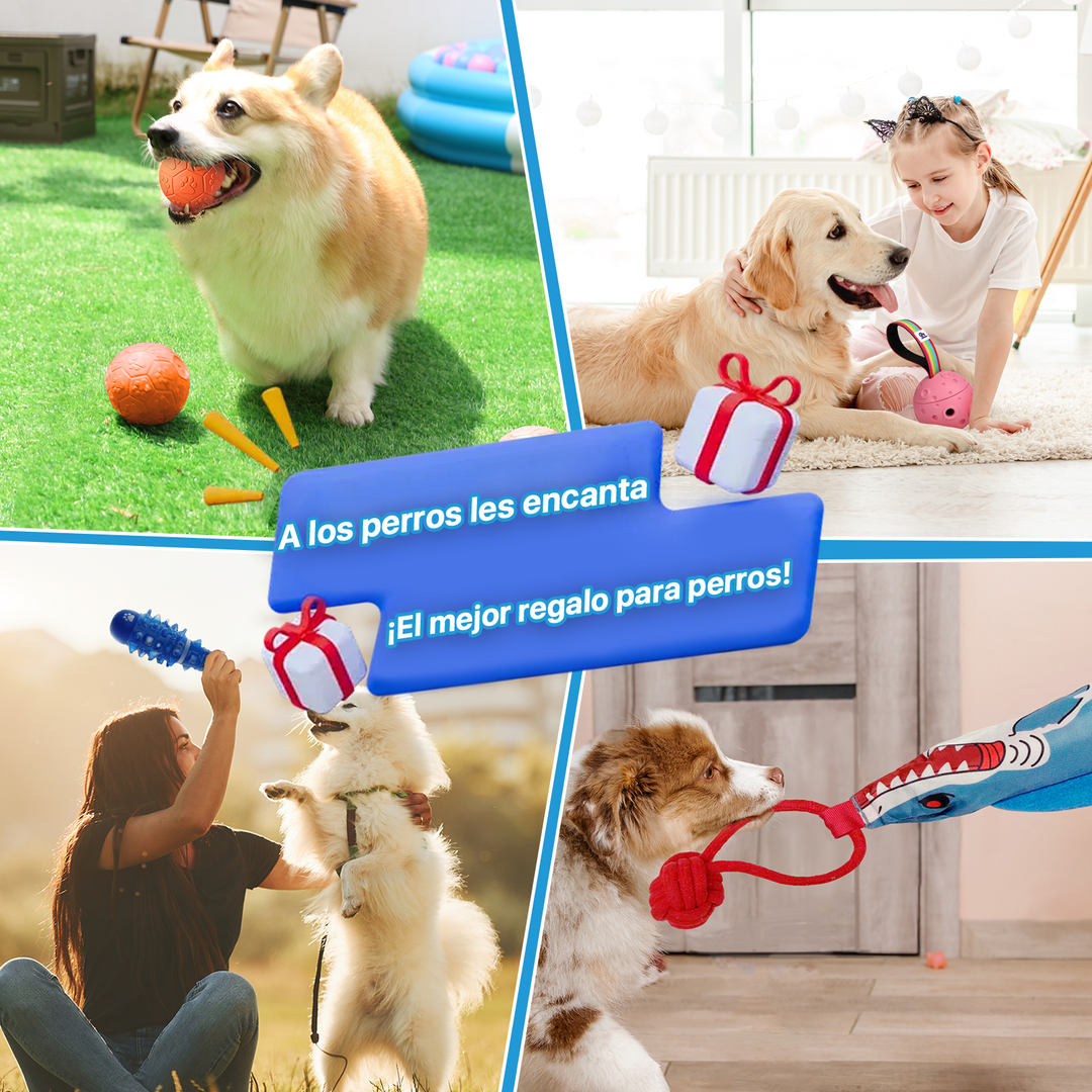 Momovida Juguetes Para Perro Masticar Limpia Dientes 5piezas