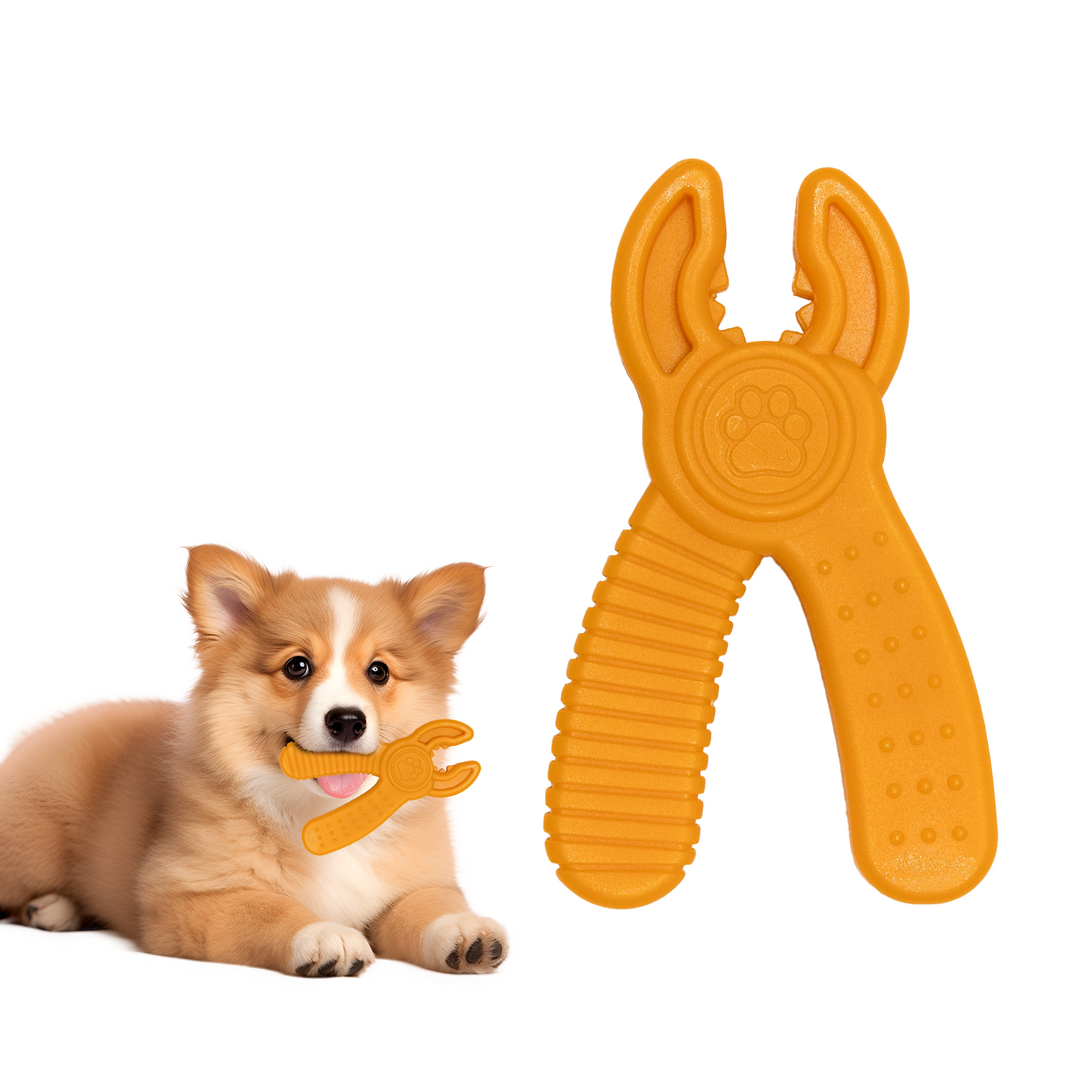 4 pz Juguetes Hueso Para Perros MordibleLimpia Dientes Momovida